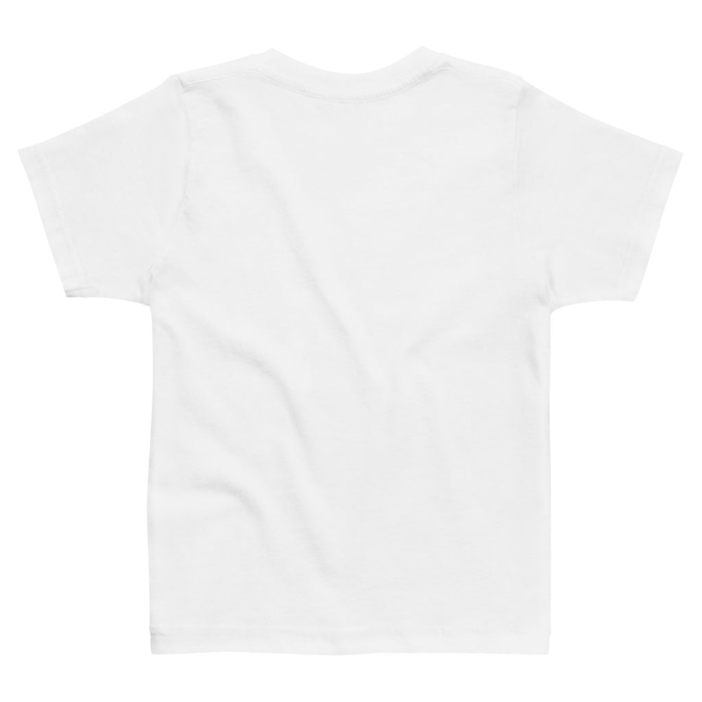 Plain white t-shirt on a white background