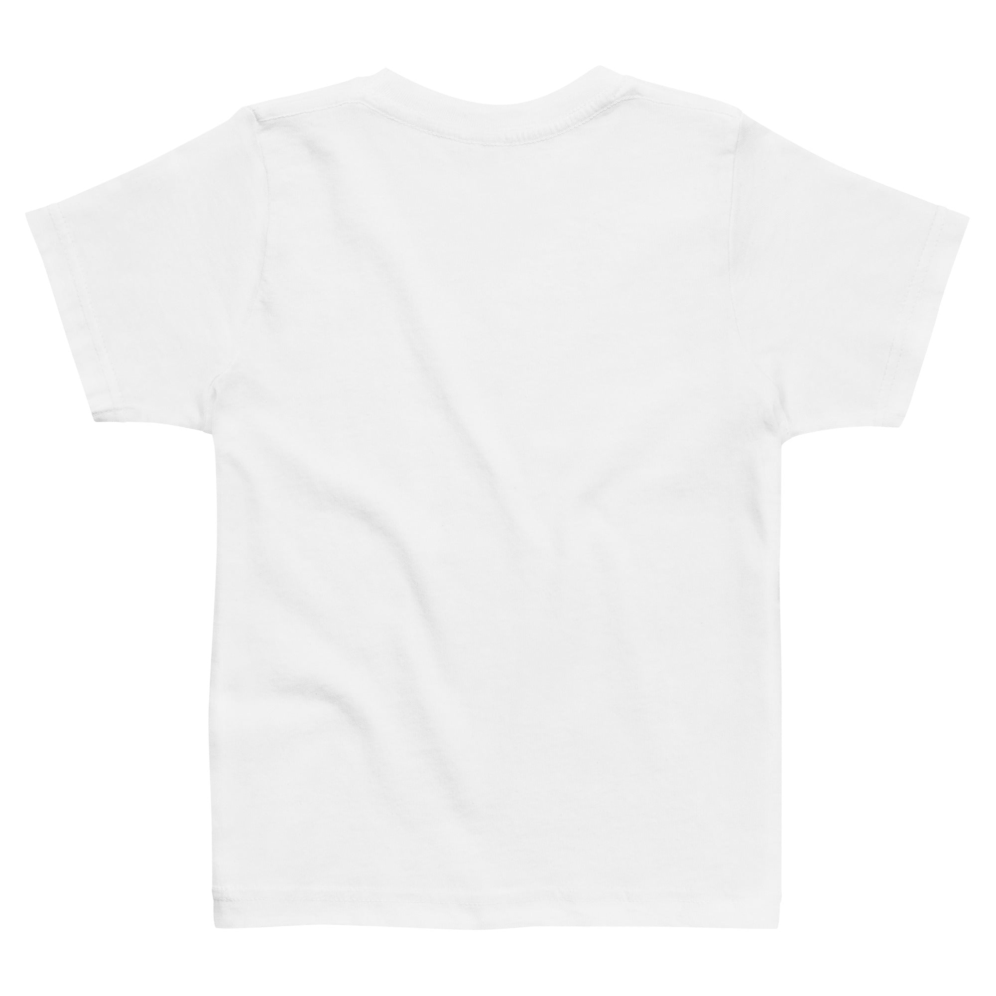 Plain white t-shirt on a white background